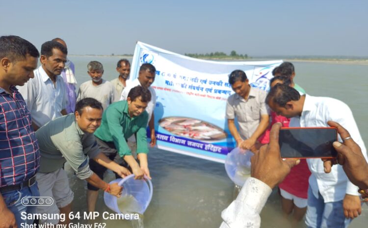  हरिद्वार। केंन्द्र सरकार की प्रधानमंत्री मत्स्य सम्पदा योजनार्न्तगत (PMMSY) राष्ट्रीय मात्स्यिकी बोर्ड (NFDB) के रिवर रैचिंग कार्यक्रम के तहत मत्स्य विभाग हरिद्वार की सहकारी मत्स्य जीवी समितियों की उपस्थिति में विकास खण्ड लक्सर के ग्राम भोगपुर में गंगा नदी में मात्स्यिकी संवर्धन एंव प्रबंधन हेतु भारतीय मेजर कार्प मत्स्य बीज संचित किया गया एंव जनमानस को गंगा नदी एवं जल राशियों में विद्यमान मत्स्य सम्पदा के संरक्षण एवं संवर्द्धन हेतु एक दिवसीय गोष्ठी का भी आयोजन किया