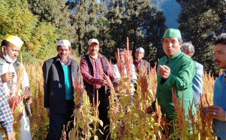  पहाड़ी लोगों के स्वस्थ रहने का क्या हैं राज। वृक्षमित्र डॉ सोनी।