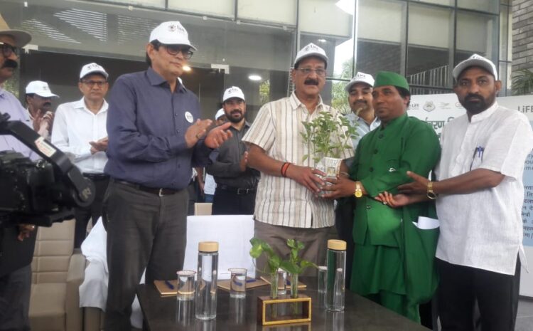  पौधा उपहार में देकर वृक्षमित्र डॉ सोनी ने मनाया विश्व पर्यावरण दिवस