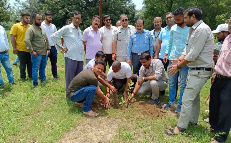  नगर पालिका अध्यक्ष राजीव शर्मा के संयोजन में अनेक सामाजिक संगठनों व भाजपा पार्टी कार्यकर्ताओं ने फलदार व छायादार पौधों का रोपण किया