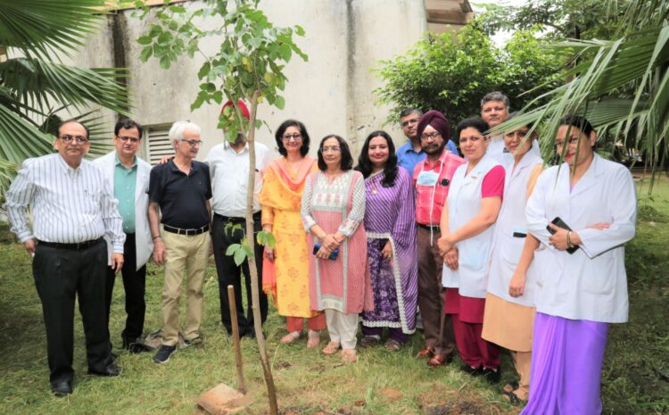 नई दिल्ली / सफदरजंग अस्पताल में धूमधाम से वन महोत्सव मनाया