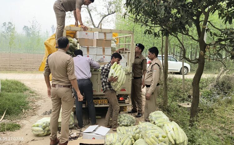  अंग्रेजी शराब के जखीरे के साथ हरियाणा का तस्कर दबोचा लगभग ₹9 लाख कीमती, 100 पेटी अंग्रेजी शराब बरामद