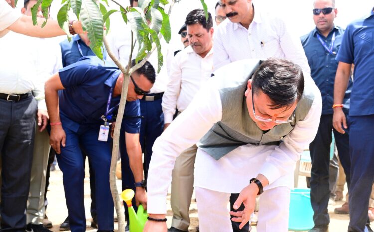  मुख्यमंत्री श्री पुष्कर सिंह धामी ने विश्व पर्यावरण दिवस के अवसर पर वृक्षारोपण कार्यक्रम में प्रतिभाग कर वृक्षारोपण किया
