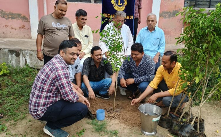  वृक्षों की पुत्रों के समान देखभाल करें , डॉ जे एस शर्मा